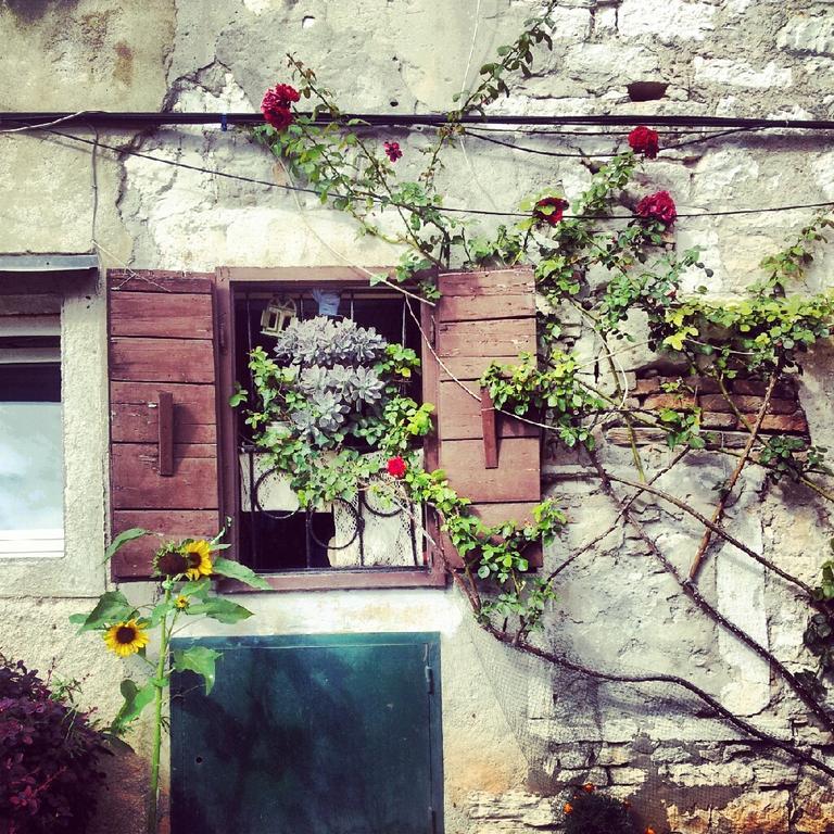 Villa Segalla Rovinj Eksteriør billede